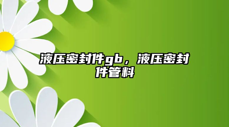 液壓密封件gb，液壓密封件管料