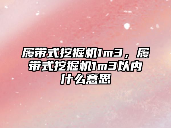 履帶式挖掘機1m3，履帶式挖掘機1m3以內什么意思