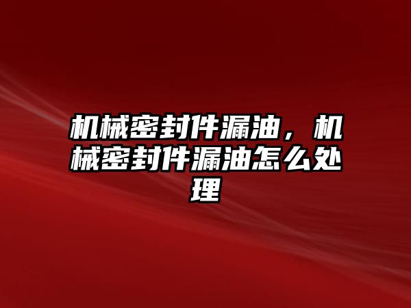 機械密封件漏油，機械密封件漏油怎么處理