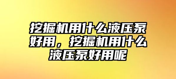 挖掘機(jī)用什么液壓泵好用，挖掘機(jī)用什么液壓泵好用呢