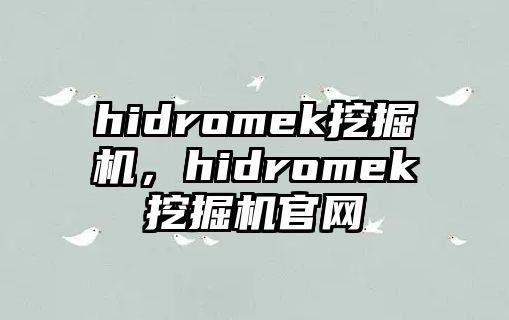 hidromek挖掘機，hidromek挖掘機官網(wǎng)