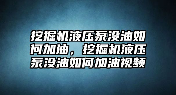 挖掘機(jī)液壓泵沒油如何加油，挖掘機(jī)液壓泵沒油如何加油視頻