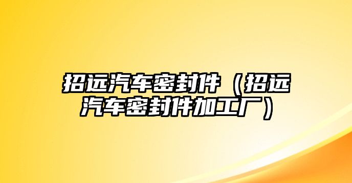 招遠(yuǎn)汽車密封件（招遠(yuǎn)汽車密封件加工廠）