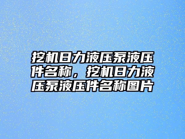 挖機(jī)日力液壓泵液壓件名稱，挖機(jī)日力液壓泵液壓件名稱圖片